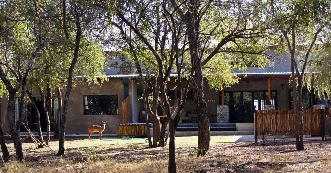 Dream Of Africa Bush Lodge Marloth Park Exteriör bild